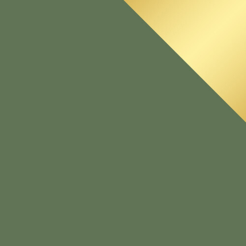 Bútorkészlet Dortivu 121 (Zöld)