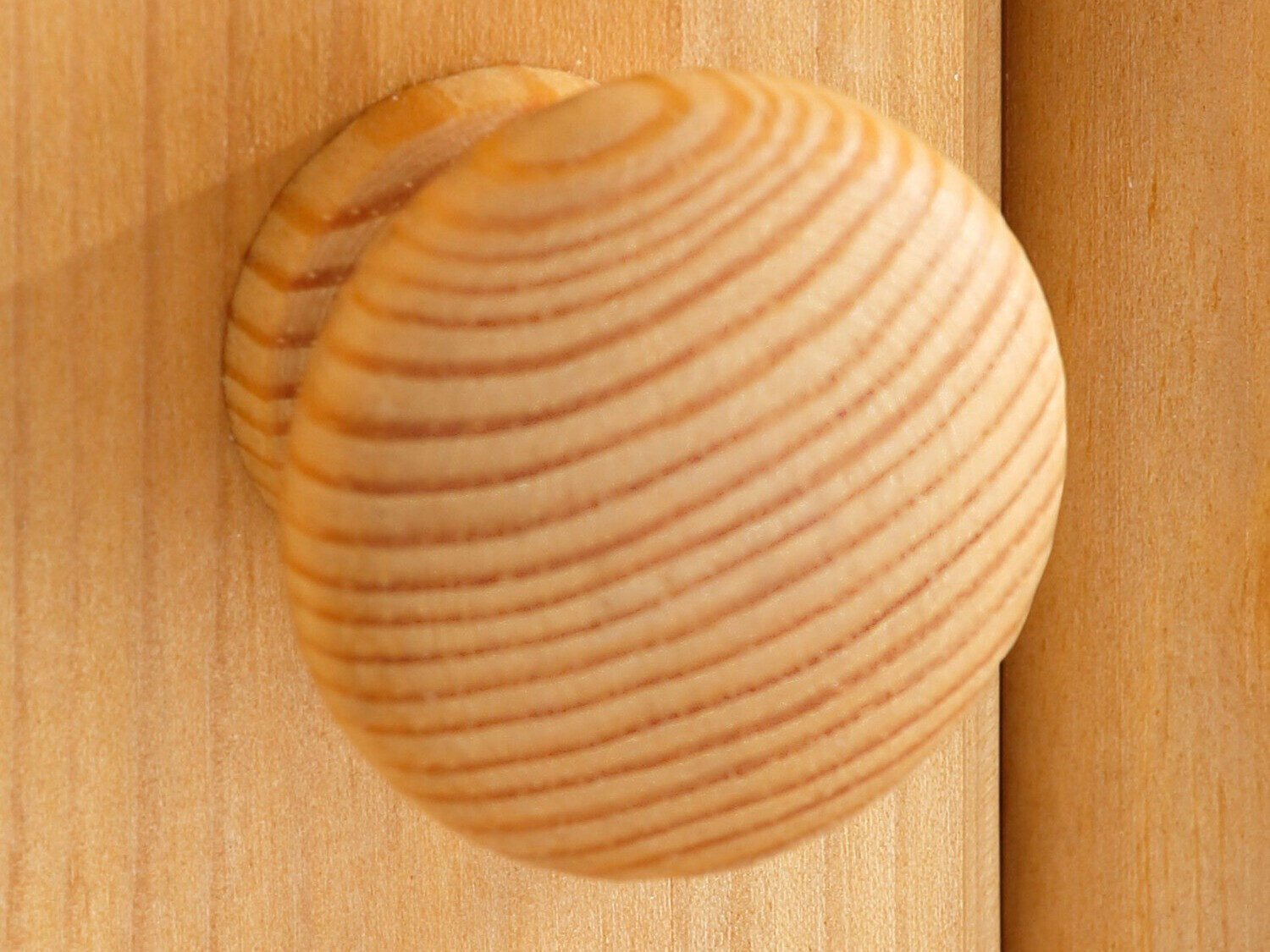 Gardróbszekrény Denton 240 (Fenyő)