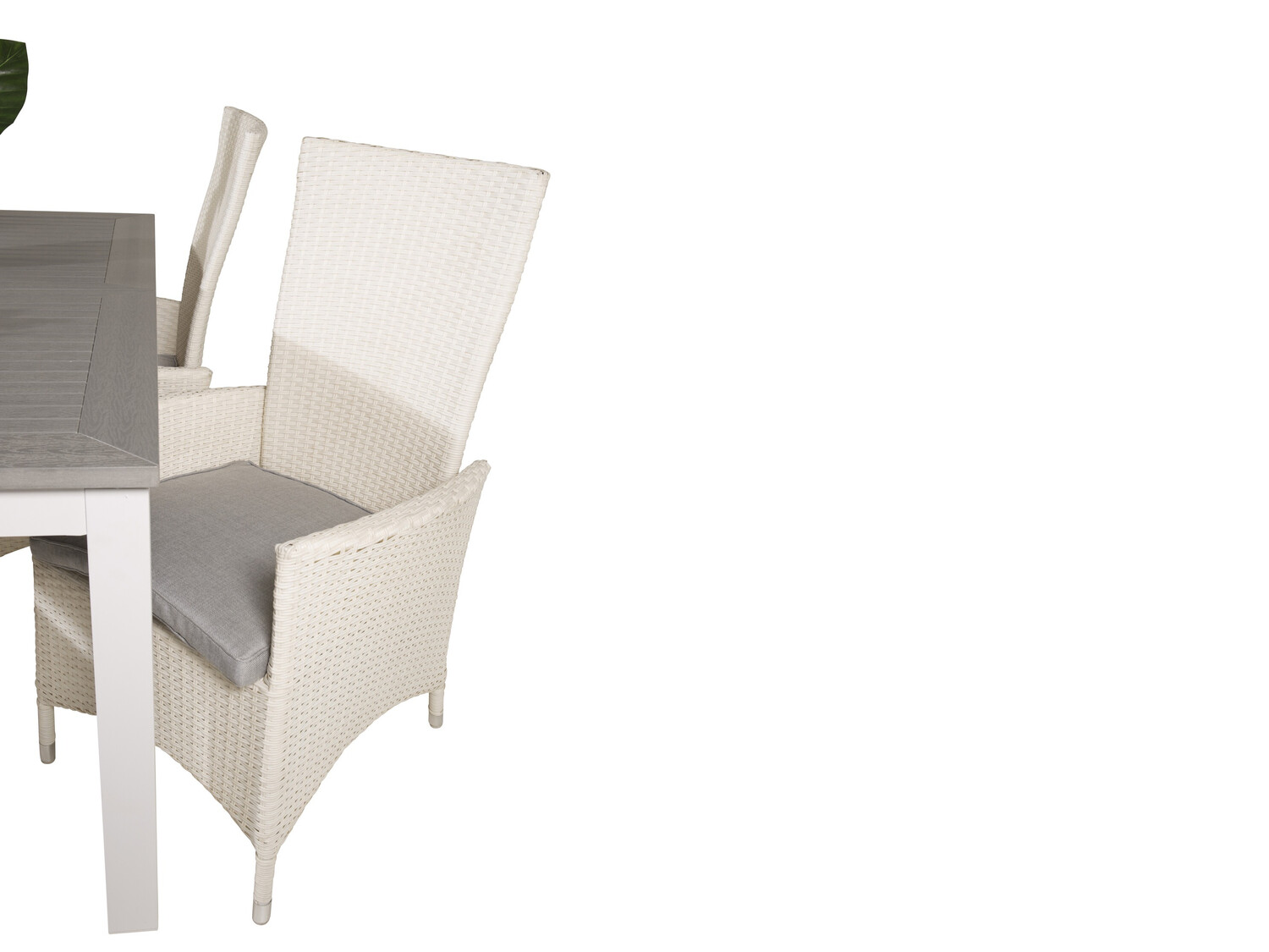 Asztal és szék garnitúra Dallas 2268