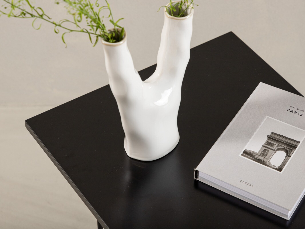 Dohányzóasztal Dallas 3225 (Fekete)