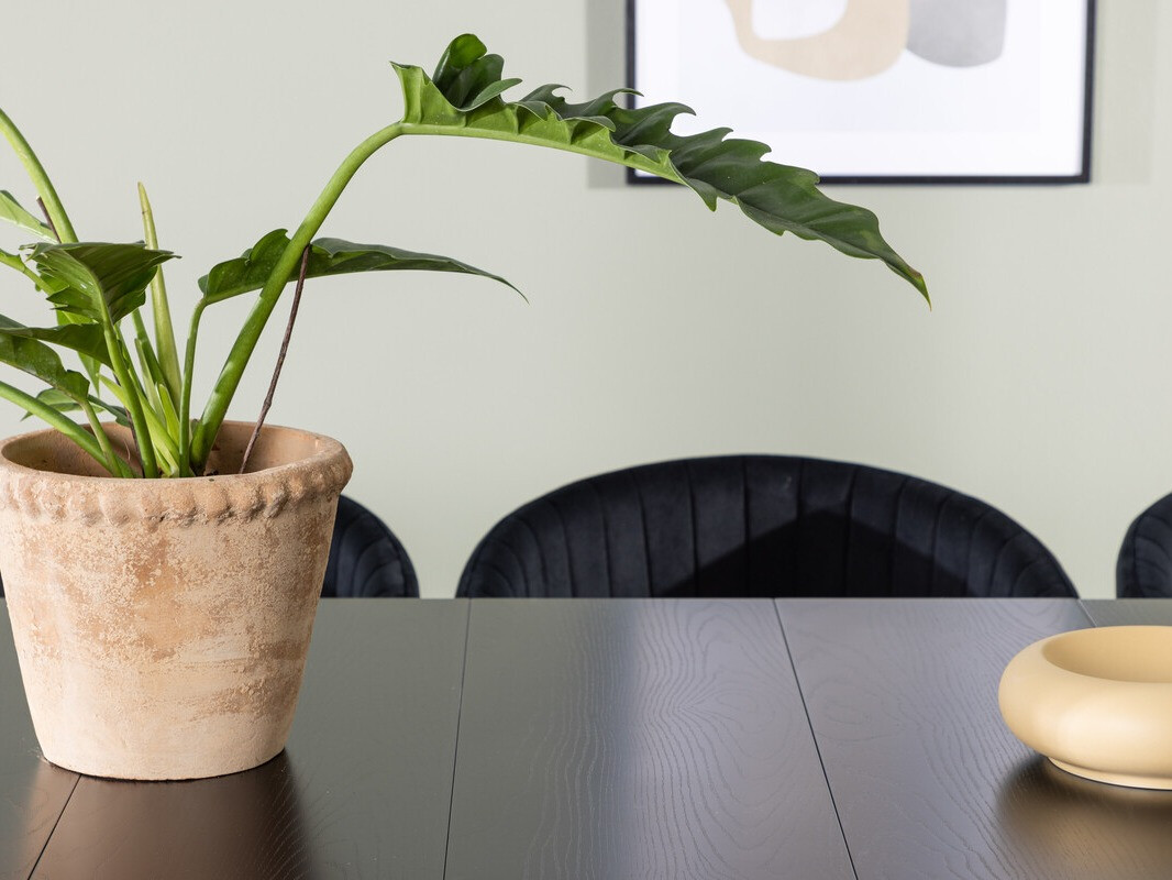 Étkezőgarnitúra Dallas 3966