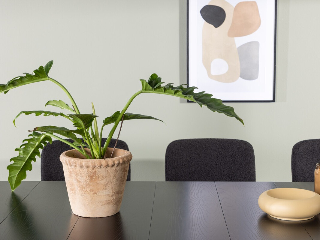 Étkezőgarnitúra Dallas 3968