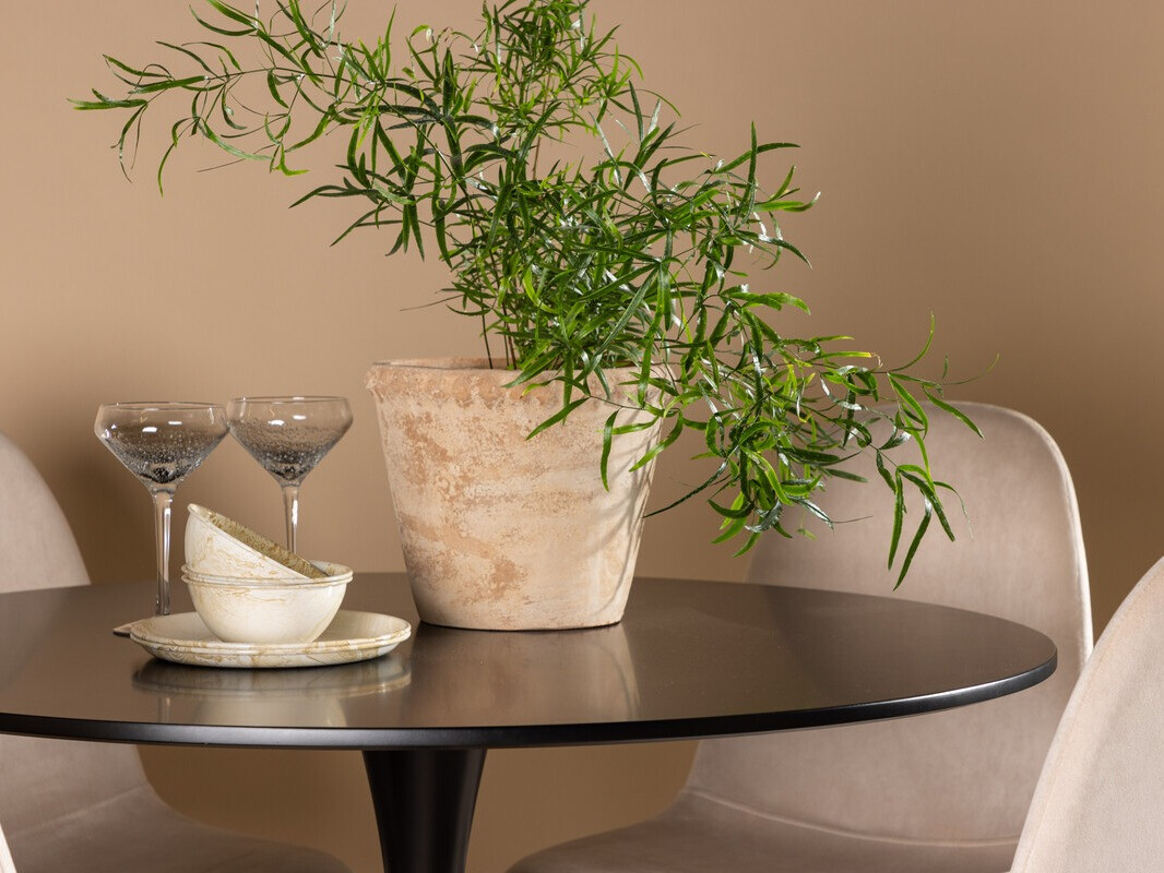 Étkezőgarnitúra Dallas 4163 (Bézs + Fekete)