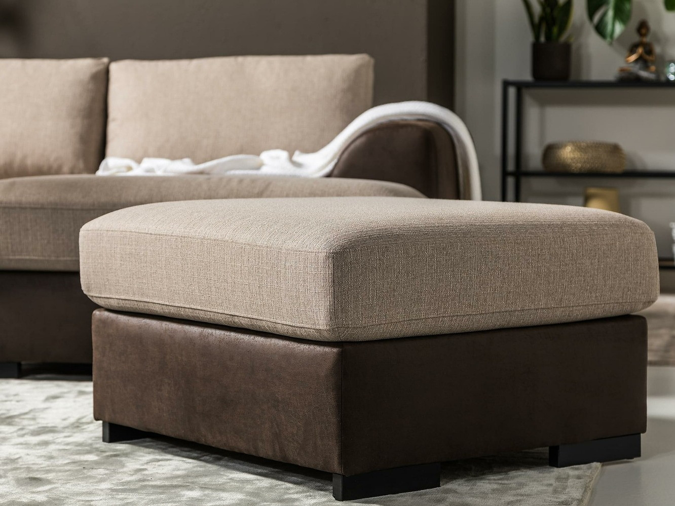 Puff In Living 368 (Portland 22)