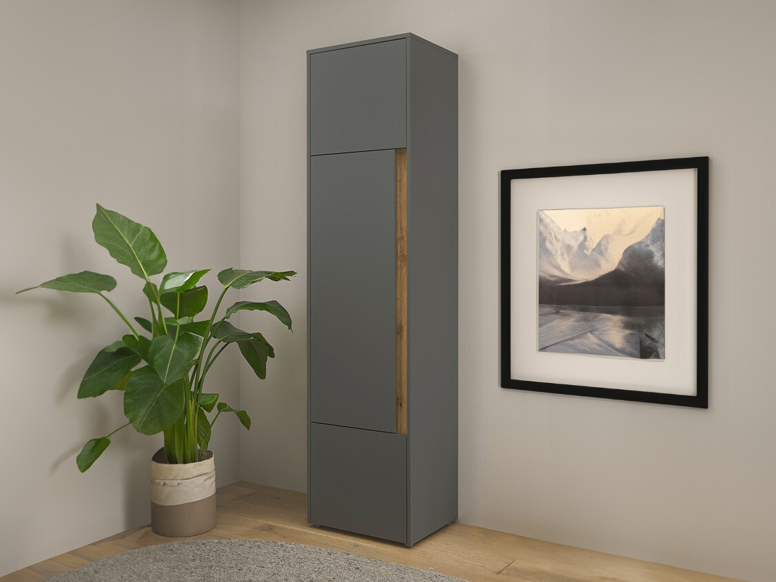 Könyvespolc Elbsori 103 (Antracit + Wotan tölgy)