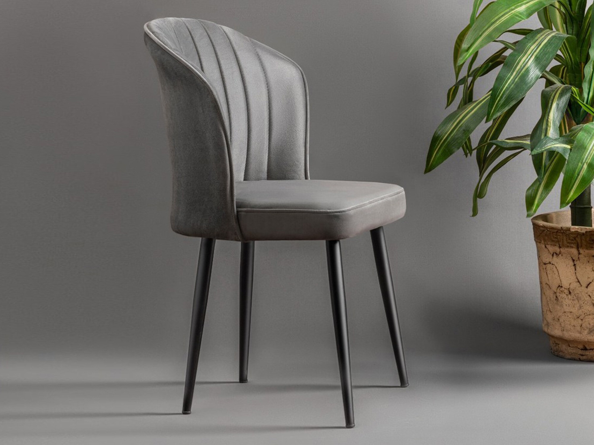 Szék készlet Kailua 1839 (Szürke)