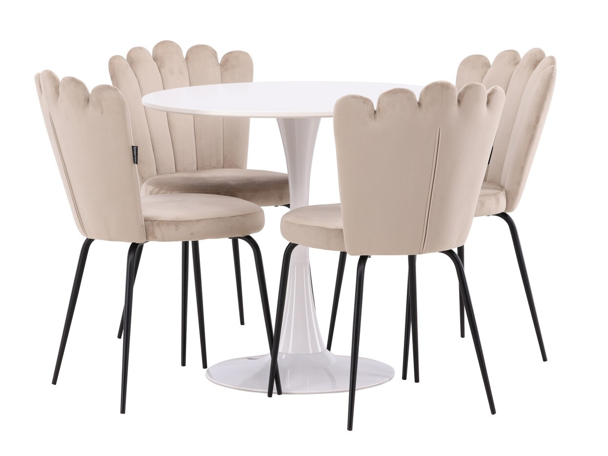 Étkezőgarnitúra Dallas 4591