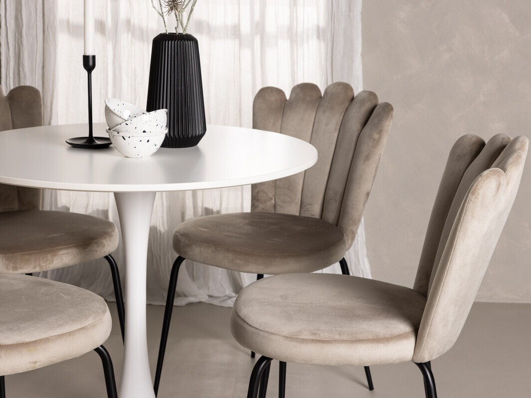 Étkezőgarnitúra Dallas 4591