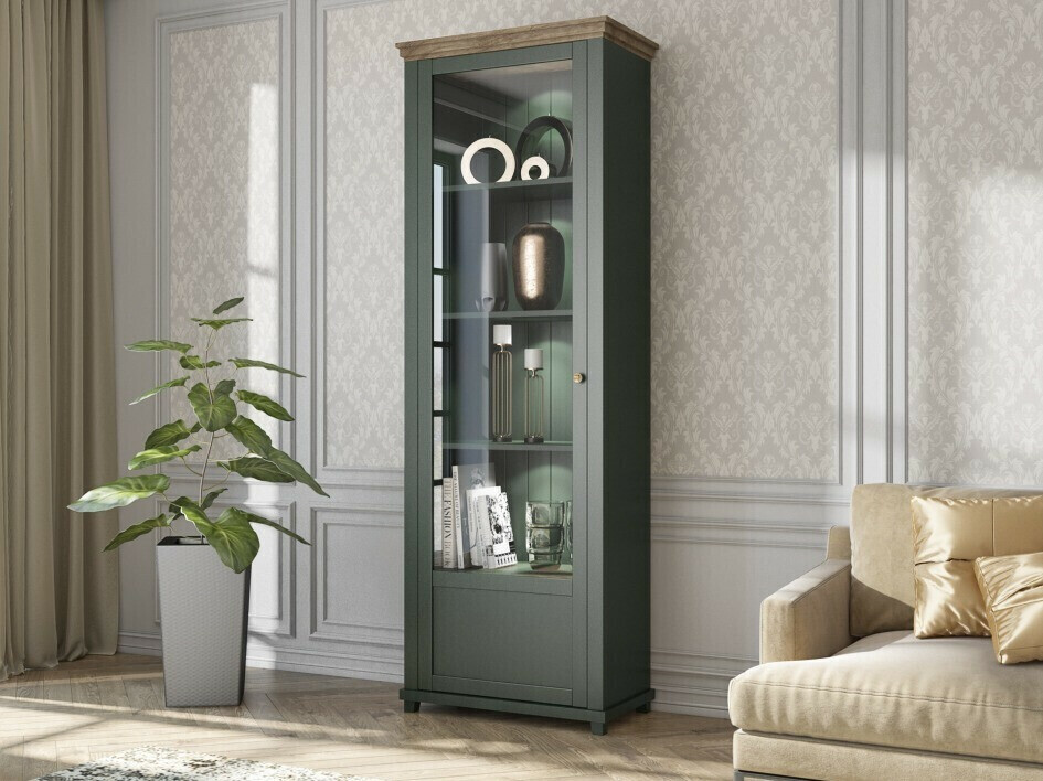 Könyvespolc Tolnue 101 (Sötétzöld + Lefkas tölgy)