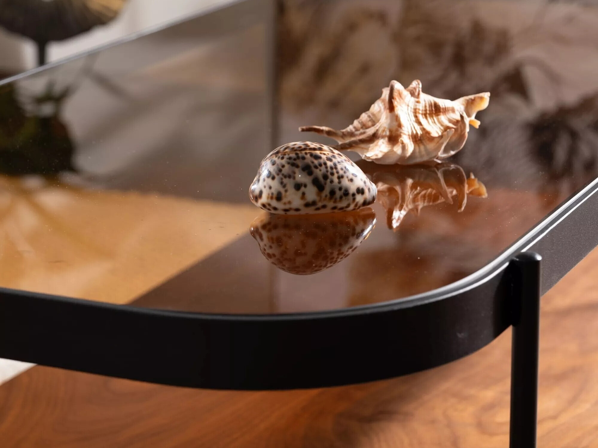 Dohányzóasztal Detroit 662