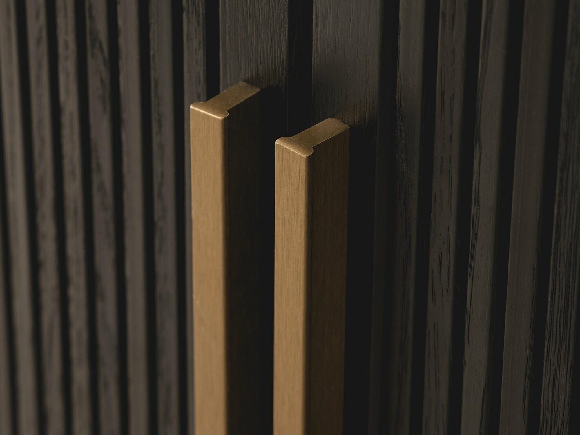 Szekrény Burleson 103 (Fekete)