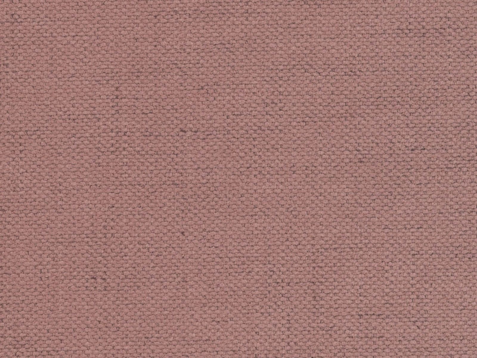 Ágy Beckley 205 (Moly 63)