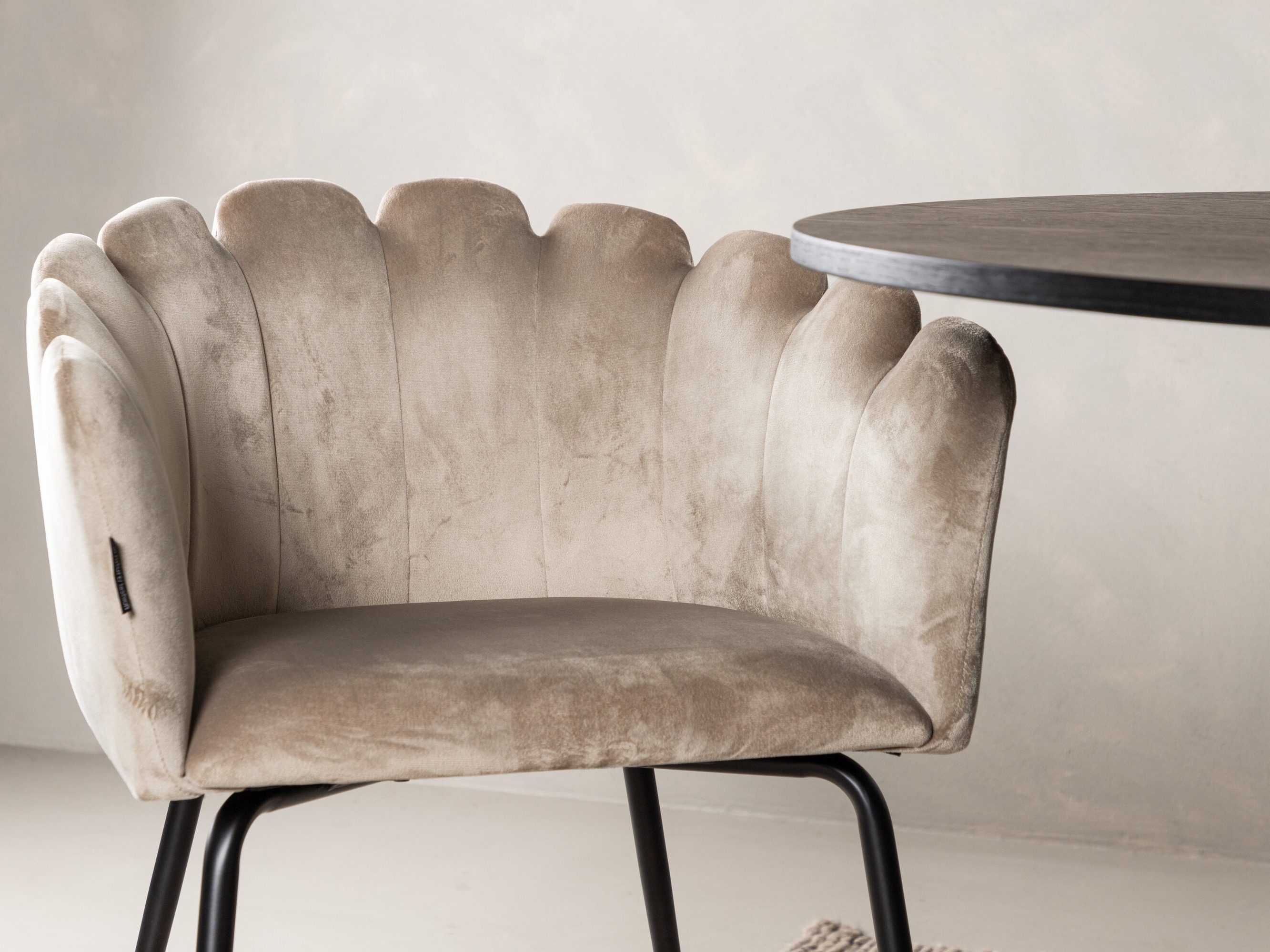 Étkezőgarnitúra Dallas 5081